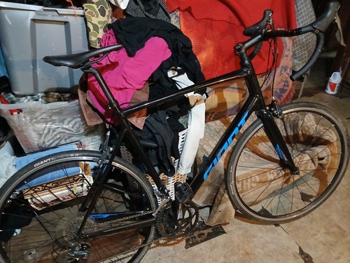 Giant contend 2021 black - contend,