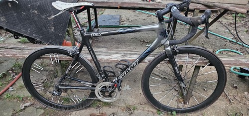 Giant tcr czero carbon 5 - giant, 55.5