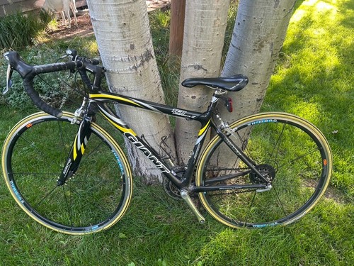 Carbon giant tcr - giant,