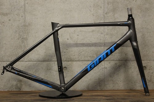Giant contend sl1 - sl1, 2020
